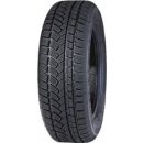 Winter Radial W790 195/65 R15 91T