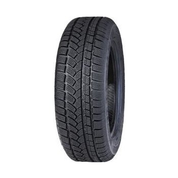 Winter Radial W790 195/65 R15 91T