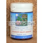 TCM Herbs Vyvanutí dračí jeskyně 100 tablet – Hledejceny.cz