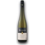 Allram Strass Grüner Veltliner 2024 Kamptal D.A.C. 12,5% 0,75 l (holá láhev) – Hledejceny.cz