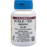 Sinecura BCX4.9-1229 xiebaisan 60 tablet – Hledejceny.cz