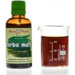 Bylinné kapky Yerba maté kapky tinktura 50 ml – Hledejceny.cz