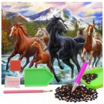 Norimpex Diamantové malování Koně ve vodě 30 x 40 cm – Zbozi.Blesk.cz