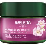 Weleda Divoká růže a bílý čaj rozjasňující noční krém 40 ml – Zboží Dáma