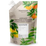 Ponthier Pyré ovocné citrus Verbena 1 kg – Sleviste.cz