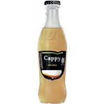 Cappy Hruška 250 ml – Zboží Dáma