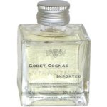 Godet Antarctica 40% 0,05 l (holá láhev) – Zboží Dáma