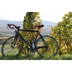 Vinařská cyklistická úniková hra krajinou Modrých Hor na jižní Moravě – Hledejceny.cz