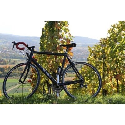 Vinařská cyklistická úniková hra krajinou Modrých Hor na jižní Moravě – Hledejceny.cz
