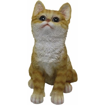 Sunny Garden Dekorativní figurka sedicí kotě různé druhy 20 cm, 1 ks – Hledejceny.cz