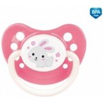 Canpol babies latex anatomický Bunny & Company modrá 1 ks – Zboží Dáma