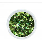 Aglia EUPHORIA SPRING glitry na nehty 1.5 g – Hledejceny.cz