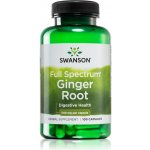 Swanson Zázvor Ginger Root 540 mg 100 kapslí – Hledejceny.cz