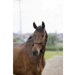 NORTON Provazová ohlávka s koženým opletem černá – Zboží Mobilmania