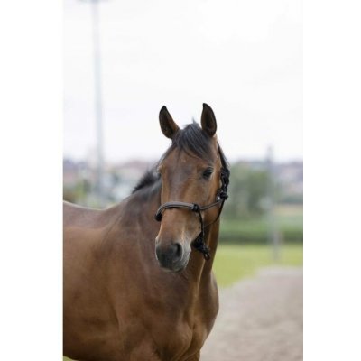 NORTON Provazová ohlávka s koženým opletem černá – Zboží Mobilmania