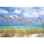 Komar 8-515 FOTOTAPETA Ocean Breeze rozměry 368 x 254 cm – Hledejceny.cz