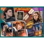 TREFL Harry Potter MEGA PACK 10v1 – Sleviste.cz