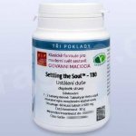 Giovanni Maciocia T80 Ustálená duše 60 tablet – Hledejceny.cz