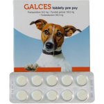 Galces Plus pro psy 100 tablet – Zboží Dáma