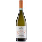 Cantina Colli Del Soligo Pinot Grigio DOC 12% 0,75 l (holá láhev) – Hledejceny.cz