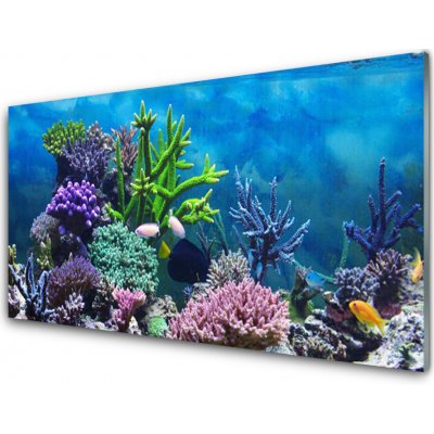 Obraz na skle Akvárium Rybičky Pod Vodou 100x50 cm – Zboží Mobilmania