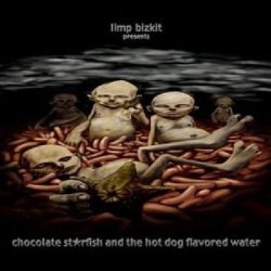 Limp Bizkit - Chocolate Starfish And The Hot Dog Flavored Water CD