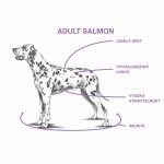 Sam's Field Low Grain Adult Salmon & Potato 0,8 kg – Zbozi.Blesk.cz