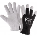 CXS TECHNIK ECO – Sleviste.cz