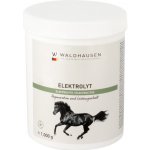 Waldhausen Elektrolyt regenerace a udržování výkonu 1 kg – Hledejceny.cz