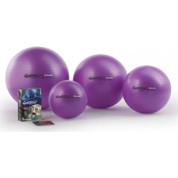 Ledragomma Gymnastik Ball 75 cm