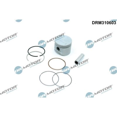 Dr.Motor Automotive DRM310603 – Hledejceny.cz