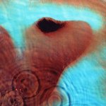 Meddle - Pink Floyd LP – Hledejceny.cz