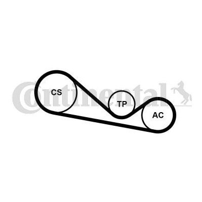 Sada zebrovanych klinovych remenu CONTINENTAL CTAM 4PK1237K1 – Zboží Mobilmania