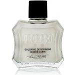 Proraso Coarse Beards voda po holení 100 ml – Hledejceny.cz