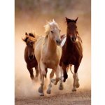 Clementoni Running Horses 1000 dílků – Zboží Mobilmania