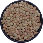 Profikoření Čočka hnědá velkozrnná celá 5 kg – Zboží Dáma