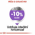 Royal Canin Medium Sterilised 12 kg – Hledejceny.cz