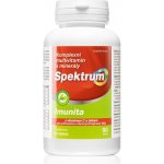 Spektrum Imunita 90 tablet – Hledejceny.cz
