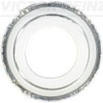 VICTOR REINZ VR 71-37869-00 – Hledejceny.cz