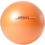 Ledragomma Gymnastic Ball Maxafe 75 cm – Zboží Dáma