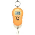 ISO-R277 Závěsná váha do 40 kg – Zboží Dáma