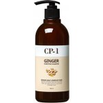 CP1 Ginger Purifying Shampoo s extraktem ze zázvoru 500 ml – Zboží Mobilmania