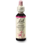 Bachovky Nelson Sweet Chestnut 20 ml č.30 – Hledejceny.cz