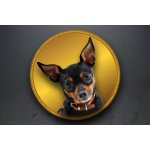 Emblém Pražský krysařík GL328/GL328_50 – Hledejceny.cz