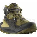 Salomon Elixir Gtx M L47295500 black dried herb southern moss