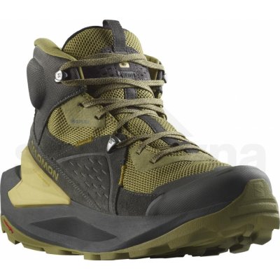 Salomon Elixir Gtx M L47295500 black dried herb southern moss – Zboží Mobilmania