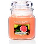 Yankee Candle Delicious Guava 411 g – Zbozi.Blesk.cz
