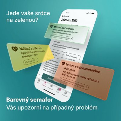 KARDI AI 12 měsíční EKG monitoring srdce XXXL – Hledejceny.cz