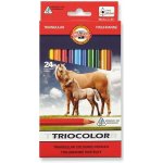 Koh-i-Noor 3144 24 ks – Zboží Dáma