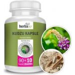 Herbavis KUDZU KAPSLE 100 kapslí – Hledejceny.cz
